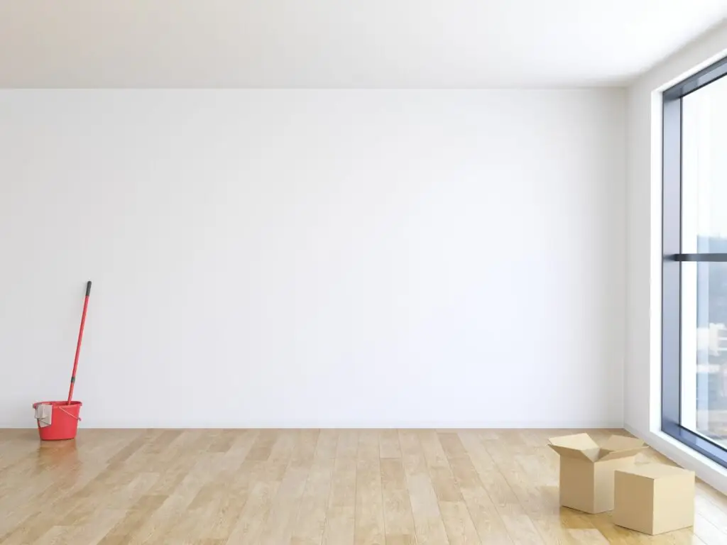 An empty room with wooden floors, a large window, a red mop and bucket in the corner, and two open cardboard boxes on the floor suggests someone is about to move out.