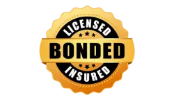 Golden badge with black text: "Licensed, Bonded, Insured," surrounded by stars—ideal for promoting your trustworthy house cleaning services near me.