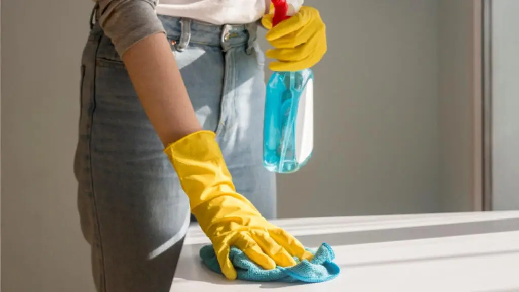 Seattle home cleaning tips