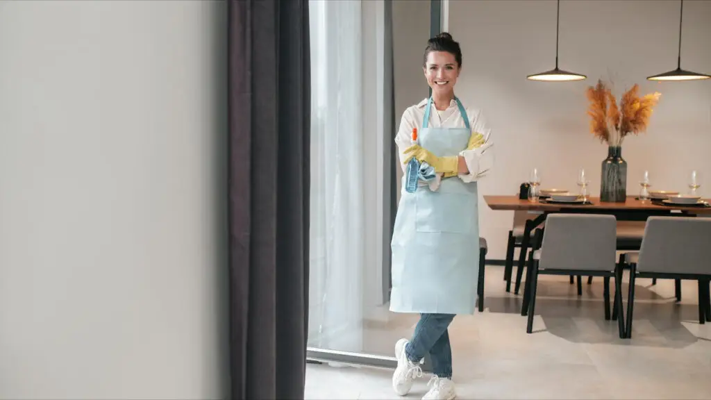 daily cleaning routine