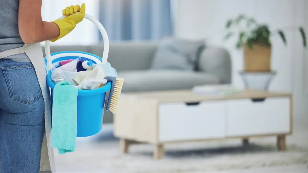 weekly cleaning plan