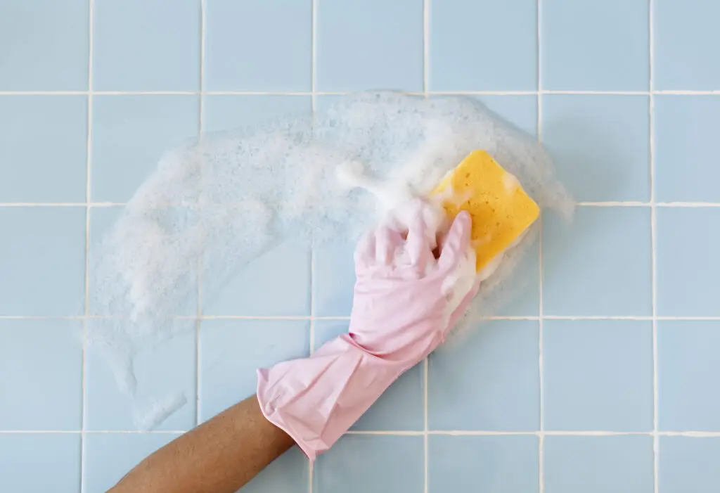 Best Shower Cleaner