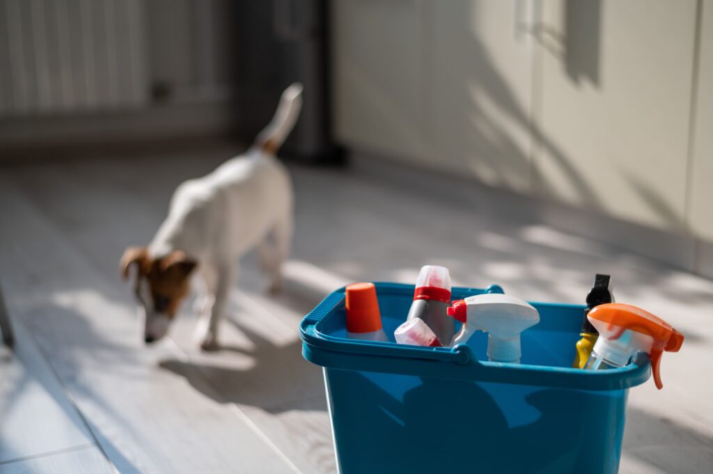 House Cleaning Tips for Pet Owners