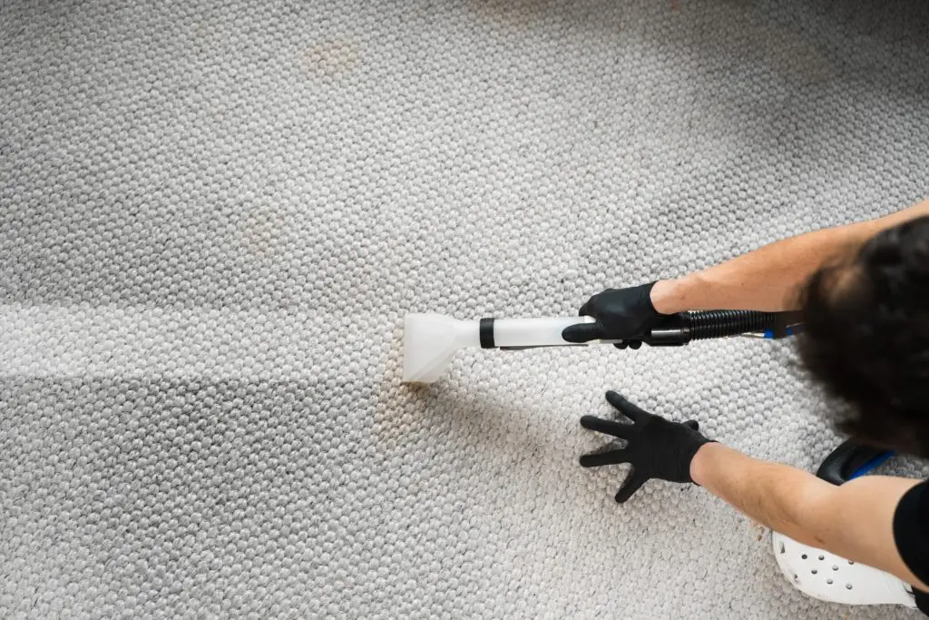 How to Clean Pet Hair From Furniture and Carpets
