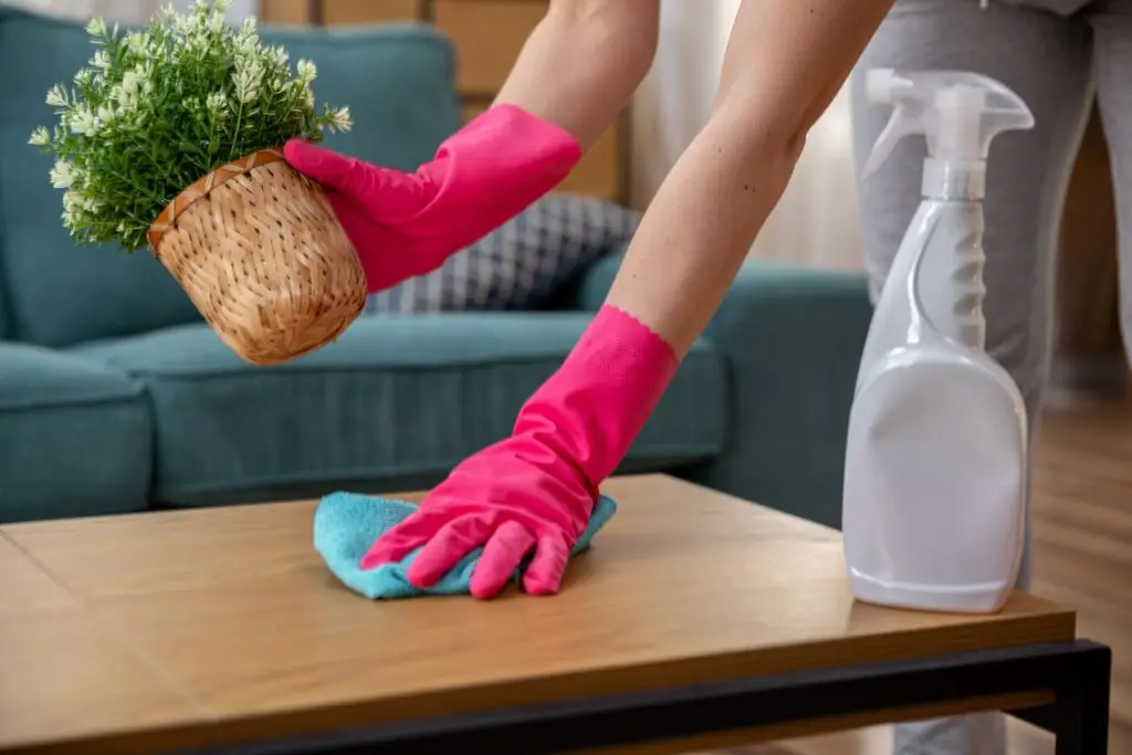 Keep Your Home Cleaner Between Cleaning Visits