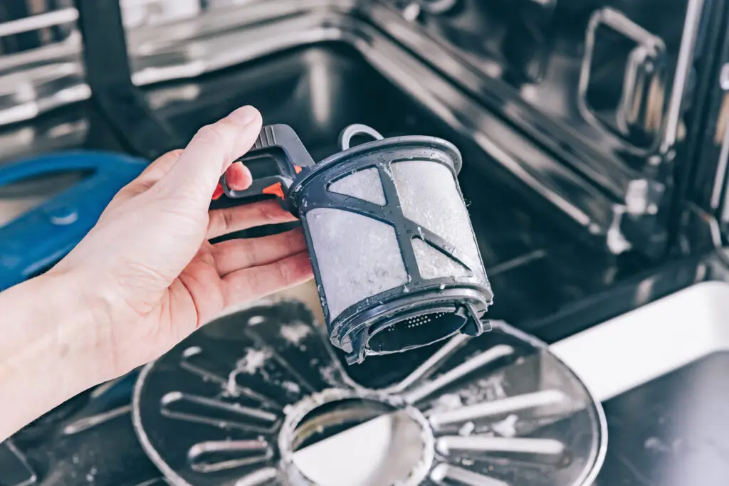 Clean a Dishwasher Filter and Door Seal